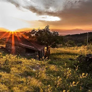  Appartamento Fattoria La Tavernuzza
