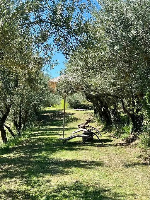 Isola Del Pittore Fienile Di Villa Storica Grassina